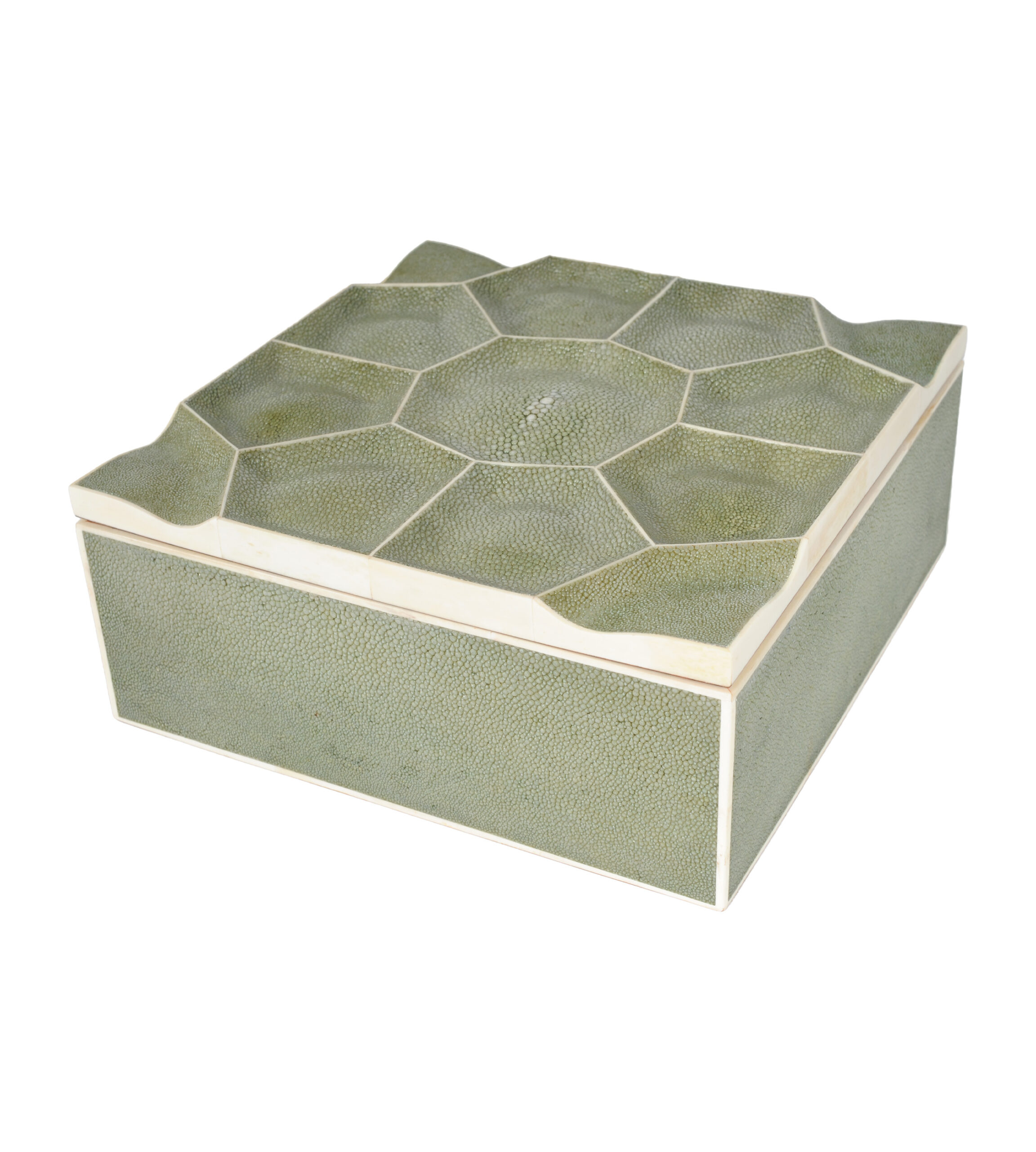 Dimensional Shagreen Box